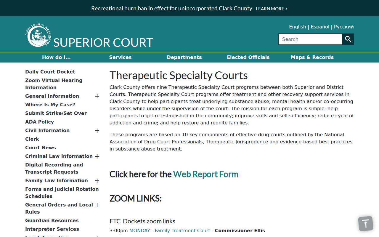 Clark County criminal records for nine therapeutic court programs